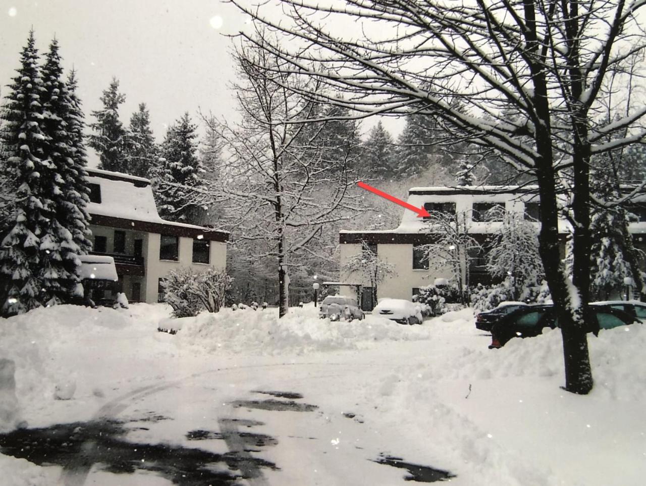 Ferienwohnung In der Büre 10-R Winterberg Exterior foto